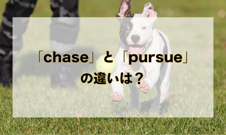 「chase」と「pursue」の違いとは？