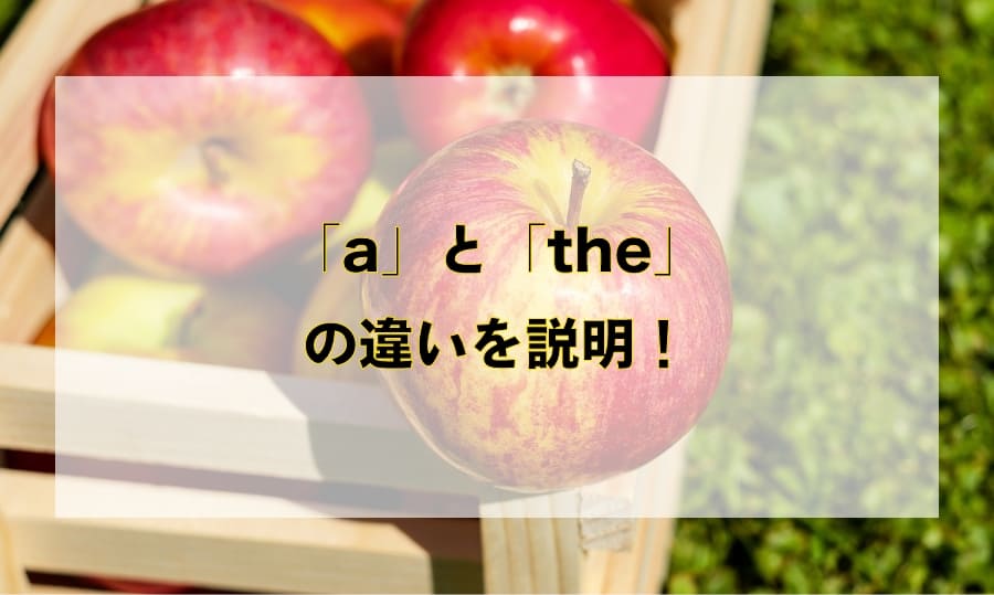 「a」と「the」の違いと使い方を全て解説！！